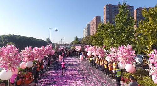 玫琳凱2018杭州國際女子馬拉松粉紅開跑