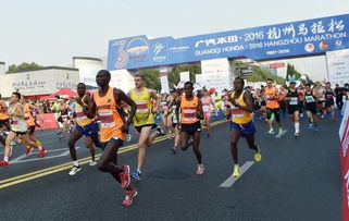 公司圓滿完成廣汽本田2016杭州馬拉松安保任務(wù)