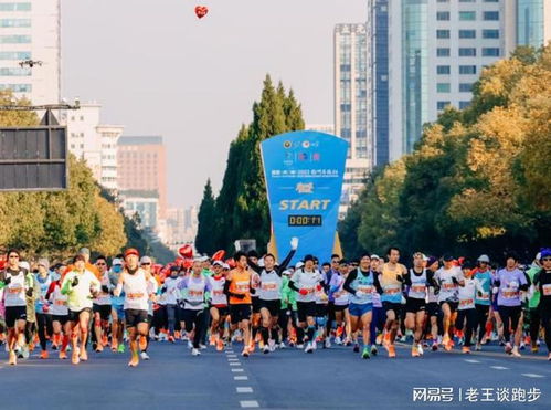 國內報名人數最多的十大馬拉松,你跑了幾個
