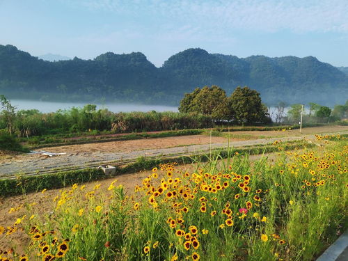 高洪雷出席魯商樸宿 黃饒半島國際鄉(xiāng)村度假區(qū) 所在 精品旅宿 一期 開業(yè)暨二期項目簽約儀式