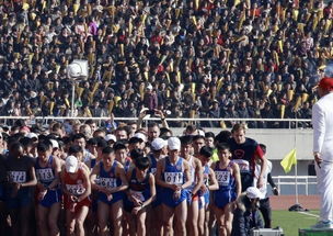 業內 跑步才是借口 馬拉松游客跑馬的意義不止于比賽