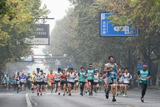 跑過風景跑過你 2019杭州馬拉松鳴槍開跑 組圖