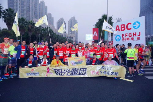 護航廈馬,陽光當日完成8筆 直賠