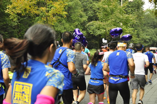 透視杭馬數(shù)據(jù) 新杭馬新發(fā)展