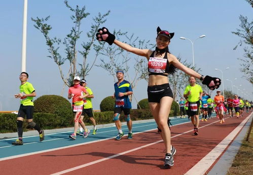 重要提醒 本周日2018杭州馬拉松即將開跑,交通出行需注意