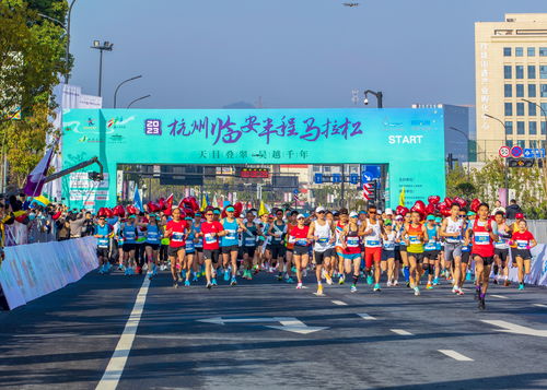 跑在春天里 臨馬剪影下的杭州國際馬拉松